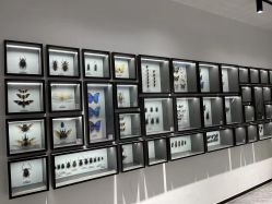 -酷嗒动物文化乐园(cutezoo西溪乐天城店)