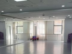 -西安小天鹅艺术团(金花路校区)