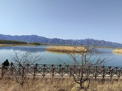 -野鸭湖国家湿地公园