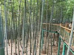-陶祖圣境风景区