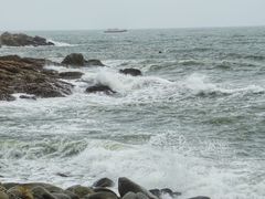 -广东惠东海龟国家级自然保护区