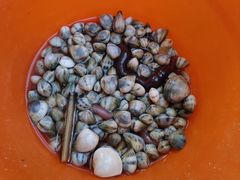 -红树林天天赶海