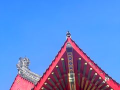 -海花岛旅游度假区