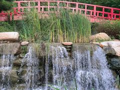 -大连植物园