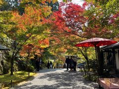 -三千院