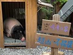 -小时光咖啡馆(开森度假森林店)