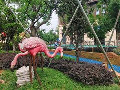 -苏州乐园森林水世界