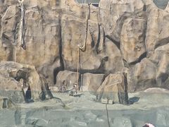 -武汉动物园