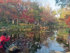 -秋霞圃