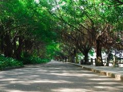 -大湾区中央湿地公园