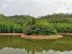 -滴水岩森林公园