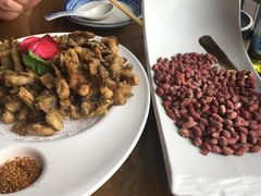 -95号酱骨·一块豆腐(展春园西路店)