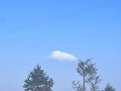 -仰天湖大草原