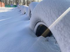 -北京鹿世界主题园