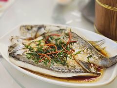 蒸鱼-日日香卤鹅饭店·澄海狮头鹅(澄海店)