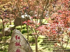 -广州市帽峰山景区