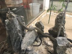 -荔城生鲜盛宴(番禺旗舰店)