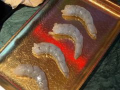 -牛New寿喜烧(金鹰世界店)