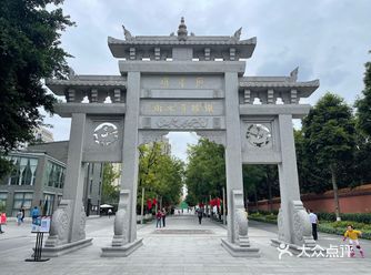随手照一张照片就很好看,可惜降温了天气有点阴