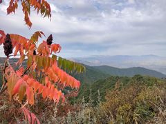 -云顶山风景区