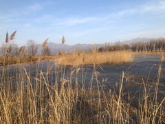 -野鸭湖国家湿地公园