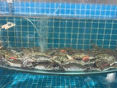 -蓝珊甄选海鲜自助·火锅大排档(近阿那亚店)