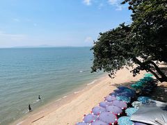 -卷心菜和避孕套餐厅(Pattaya)