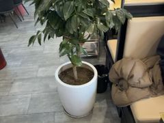 -潮牛鲜天下(小店富康店)