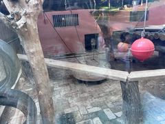 -青藏高原野生动物园