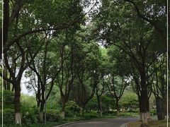 -昆山城市生态森林公园