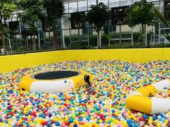 -南宫五洲植物乐园