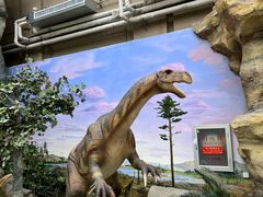 -国家自然博物馆