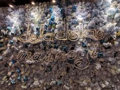 -doladola(徐家汇店)