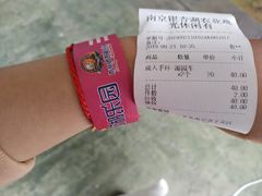 -南京银杏湖乐园