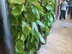-二分八·大同菜(云雁阁长治路店)