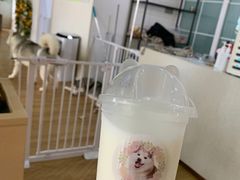 -Husky Go! 哈士奇体验馆·宠物咖啡厅狗咖