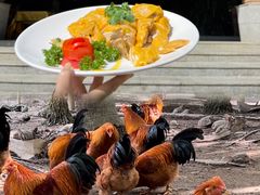 -兴隆槟榔园休闲农庄