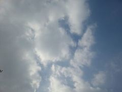 android_upload_pic-西湖茶墅