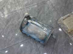 -爱洗澡的猫(天河路店)