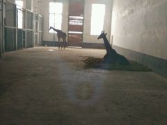 -临沂动植物园