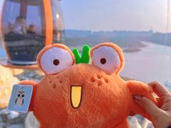 -上海海昌海洋公园