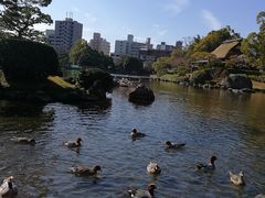 -水前寺成趣园