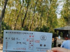 -合肥滨湖国家森林公园