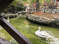 -灵玲国际马戏城