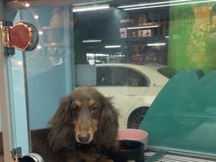 -FAELING PETS美天灵宠物(合生汇店)