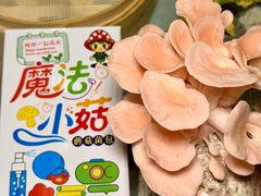 -名善山珍·野生菌汤锅(文殊院店)