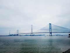 -海鸥岛