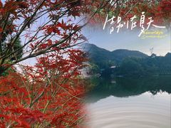-广州市帽峰山景区