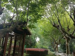 -水绘园