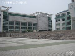 -广东中医药博物馆